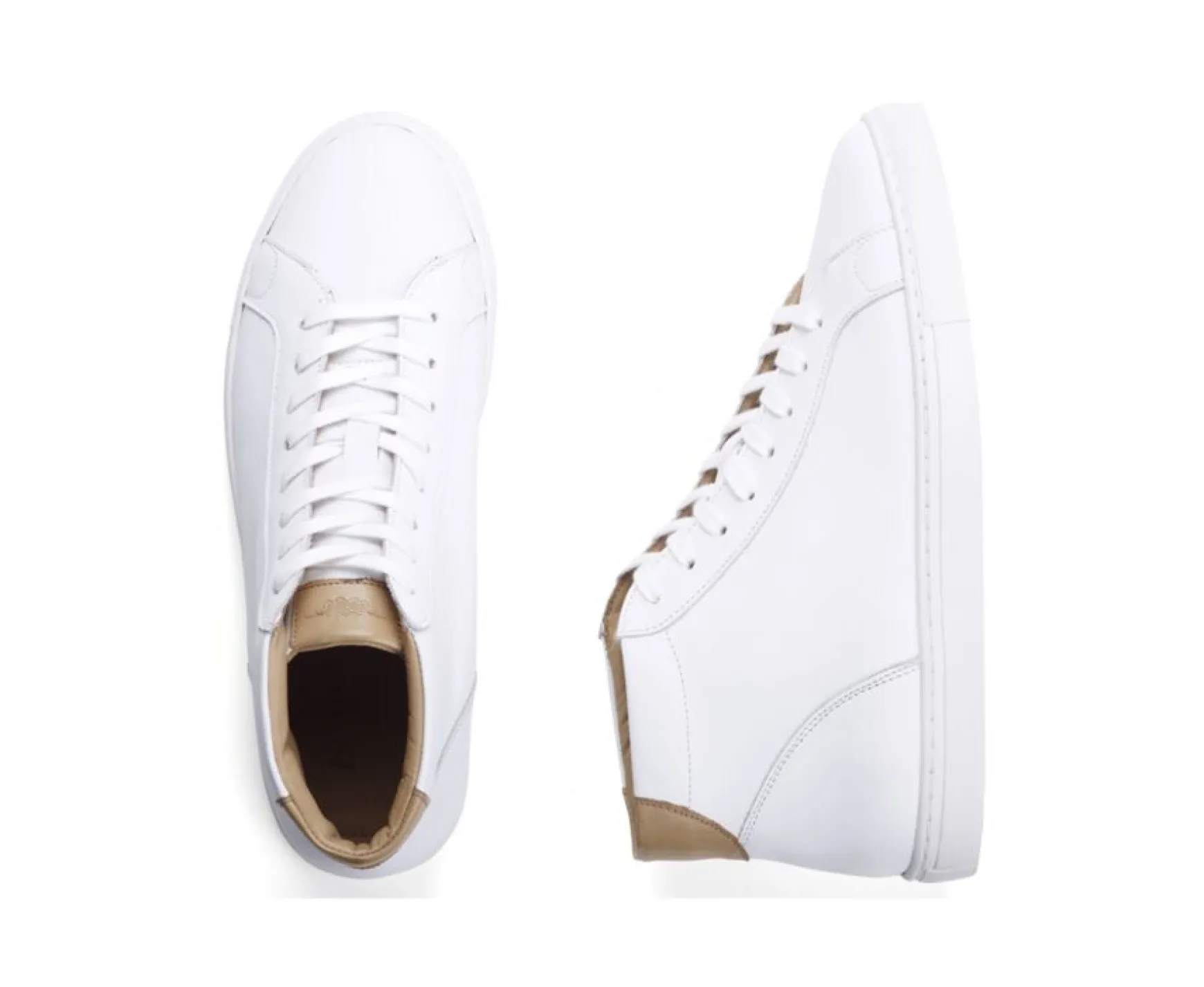 Bexley Trainers & Sneakers | High Top Trainers - Thornlea | White